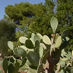 Nocleg ze śniadaniem Masseria Paradiso Ostuni