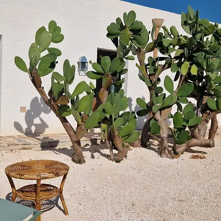 Masseria Paradiso Отель типа 