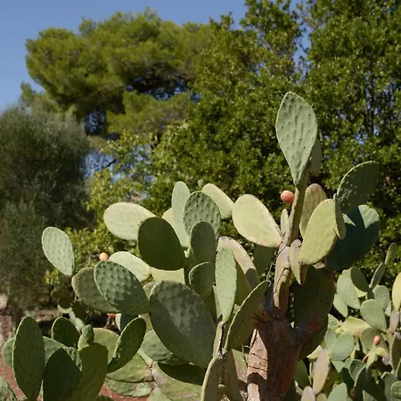 Bed & Breakfast Masseria Paradiso Ostuni