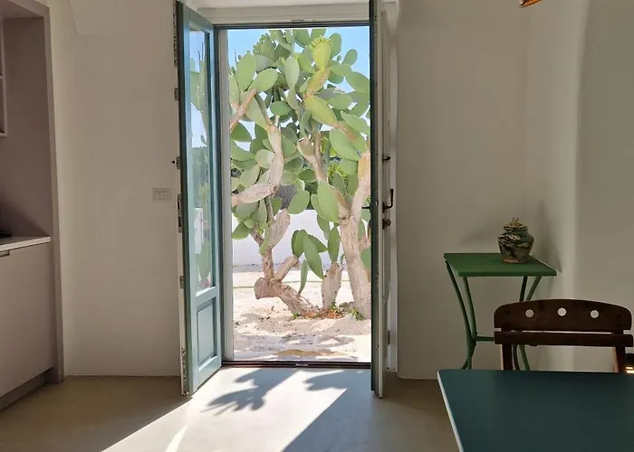 Masseria Paradiso 奥斯图尼