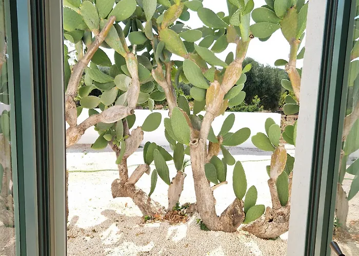 Bed & Breakfast Masseria Paradiso